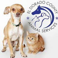 El Dorado County Animal Services